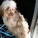 수원천로 이미지