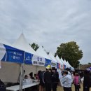 배울2로(유성-27) | 2025년 제7회 유성국화마라톤대회 참여후기 10KM 완주