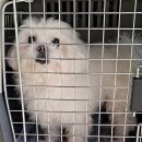 전남중앙병원 이미지