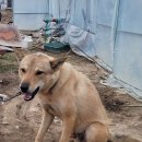 고집불통 이미지