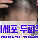 비올라셀성형외과의원 이미지