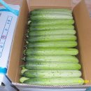 김포농협풍무동지점 이미지