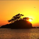 해넘이농장 이미지