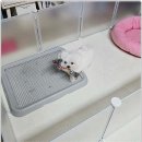 강아지분양 애견입양 아이러브독 수원점 말티푸미니비숑포메 이미지