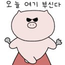 포케올데이 문정점