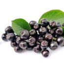 아로니아 이미지