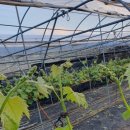 금형농장 이미지