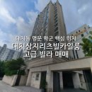 대치학군공인중개사사무소 | 대치동 명문 학군 핵심 위치, 대치상지리츠빌카일룸 고급 빌라 매매