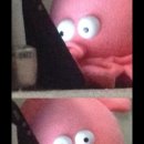 허니비스킷 이미지