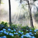 해남군-10 이미지