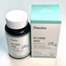 350 | 마그네슘 추천 판티오 마그파워 350 후기