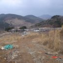 천세농원
