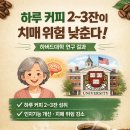 하루커피 티스토리
