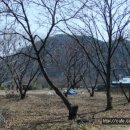 좋은인연부동산 공인중개사사무소 이미지