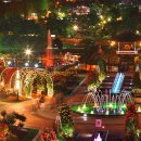 전남 곡성의 세계장미꽃축제 여행 이미지