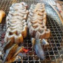 고마스크린골프 이미지