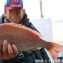 바다친구 이미지