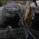 산중식당 이미지