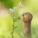 자연과 하루 이미지