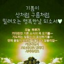 언제나,예쁘다 이미지