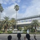 주말교육-네임택 달고 세계로 | 2025년 2차 티웨이항공 미래내일 일경험 인턴 후기