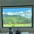 안림가 | 안림가 애견 동반 펜션 [강원도 하루 한 팀 독채 펜션]