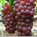 국악체험촌 이미지