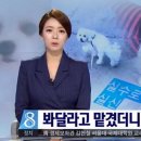스타동물병원 이미지