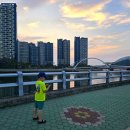 원조할머니왕족발 이미지