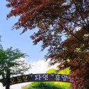 오도산자연휴양림(합천) 이미지