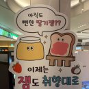 피메이트 | 팝업스토어 추천 | 비스킷 도둑 '잼메이트' 코코넛잼 솔직후기 &amp; 품절대란 '도쿄베리' 딸기모찌 메뉴 가격