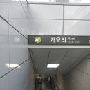 석림왕족발 네이버블로그