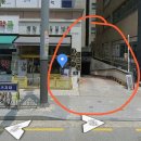 모모동물병원 | [용인 동백] 백현se동물병원 후기 - 고양이 치주염, 치은염