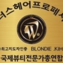살롱블롱디캣츠 네이버블로그