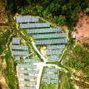 양지 태양광발전소 이미지