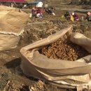 한국생약국 이미지