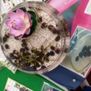 해운농장 이미지