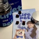 휴먼라이프케어 | 강아지 눈물자국·눈 건강 케어, 라이프펫 아이즈 체험 후기