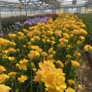 박정현농장 이미지