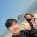 솔섬하우스