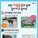 부산야생동물치료센터 이미지