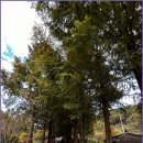 큰맘할매순대국 영월남면점 이미지