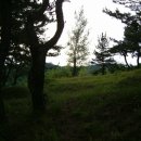 백석2리 이미지