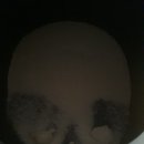 까사까리도 | 후기★[카사까리] 천연원료 100% 고양이 카사바모래 카사까리 체험단