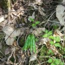 보수농장 이미지