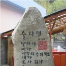 술타령