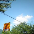 5010 | 빈티지 디카 올림푸스 뮤 5010 후기/작례/디카 추천