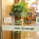 헤어망고평촌점 이미지
