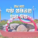 퍼플꽃순이