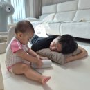 경인아라뱃길아라인천여객터미널 | [육아일기] 생후 429일 - 코스트코 청라점 &amp; 경인아라뱃길여객터미널아라타워 전망대